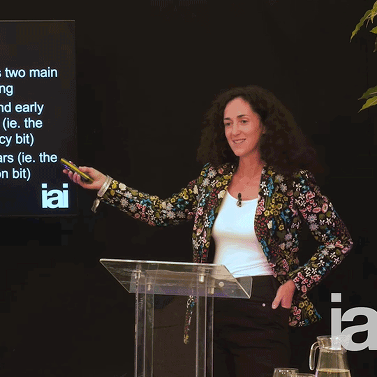 Melanie Challenger giving a lecture at the Institute of Art and Ideas