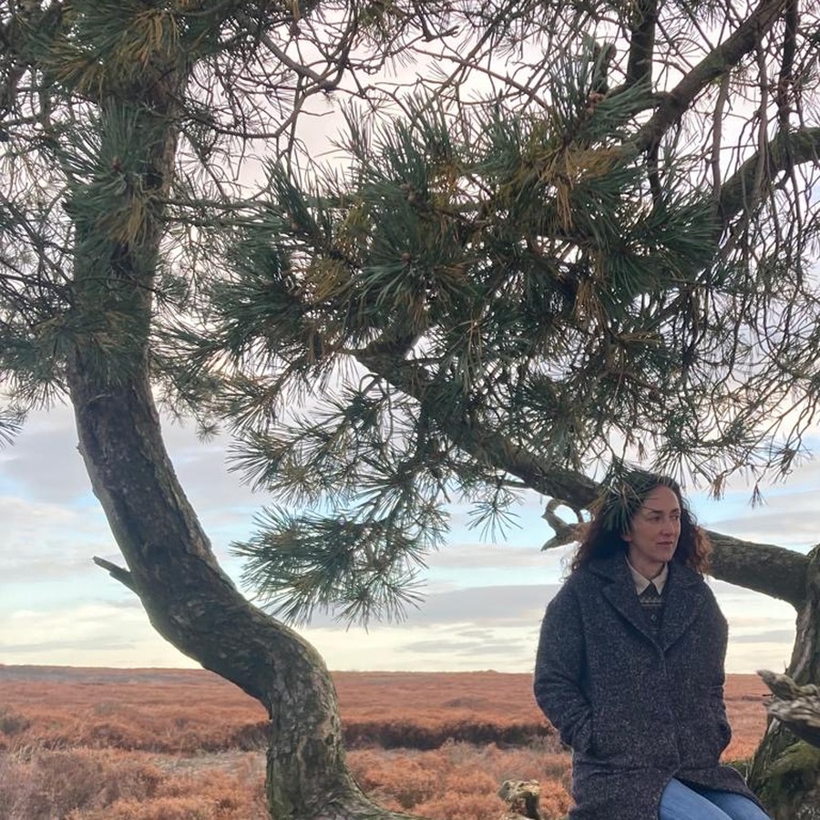 Melanie Challenger seated in an old pine tree while filming Part of Nature.