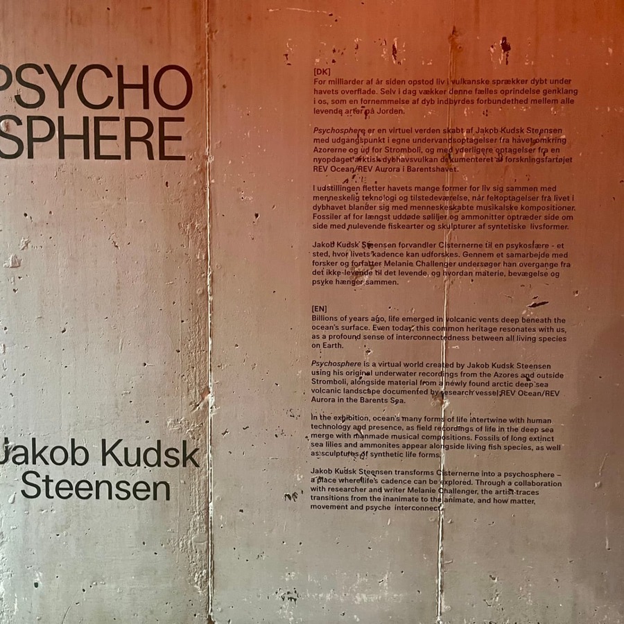 Concrete exhibition wall for Psychosphere by Jakob Kudsk Steensen at Cisternerne
